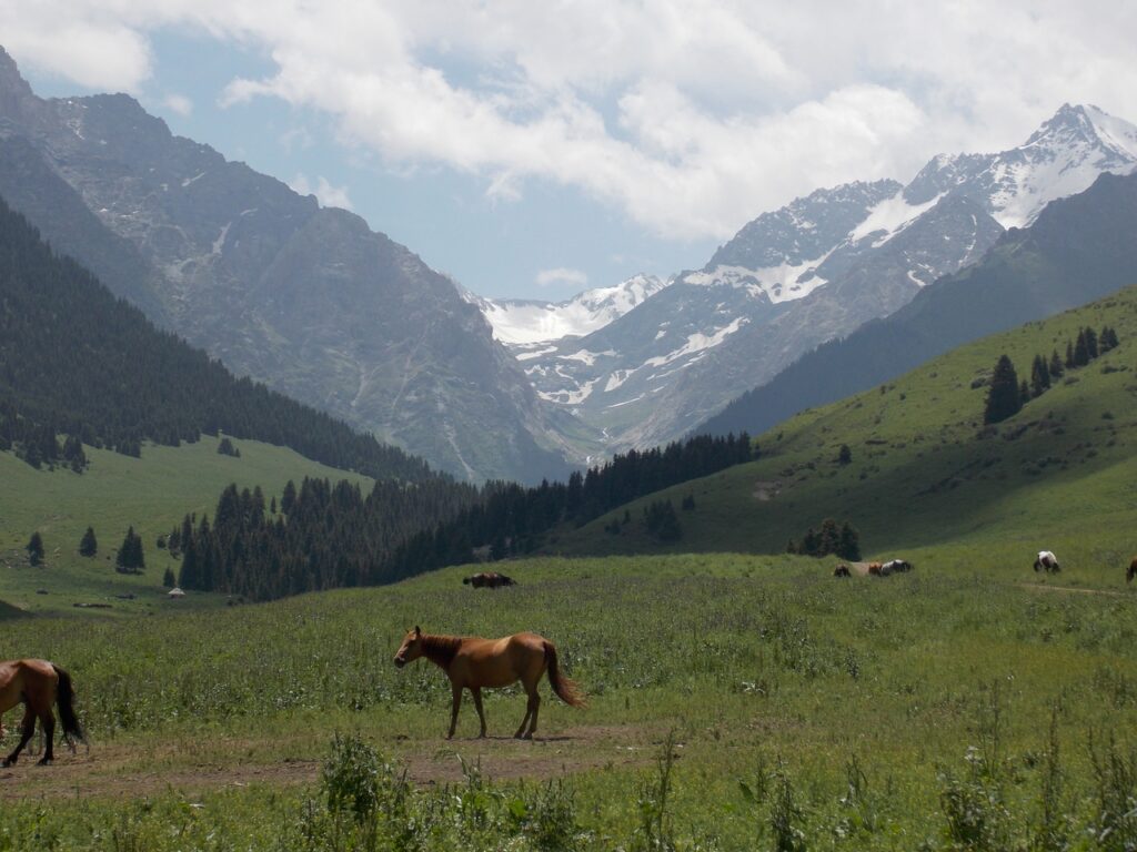 Кара-Суу айыл өкмөтүнүн веб сайты түзүлдү